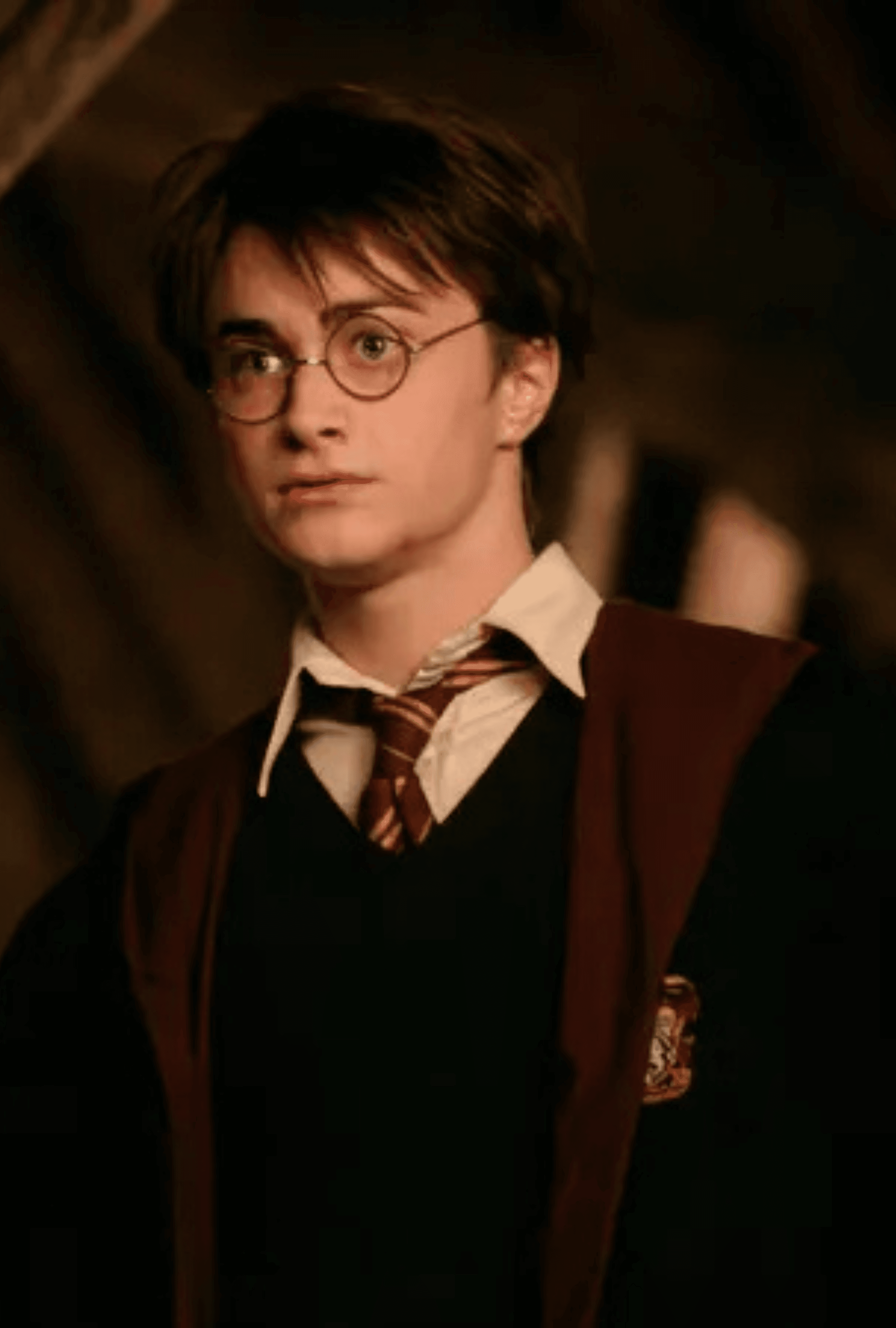 Harry Potter Portrait Image